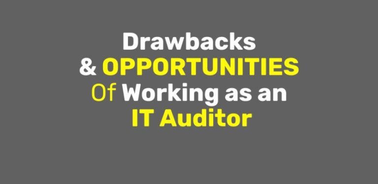 opportunities of working as an it auditor